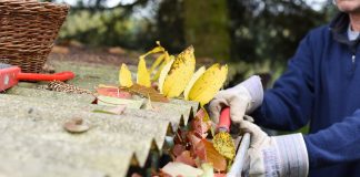 A professional wearing white gloves cleans fall leaves out of the gutter of a home.