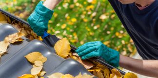 Professional wearing green gloves stands on ladder and cleans out fall leaves from gutter.