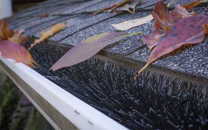 Fallen leaves accumulating in a GutterBrush leaf guard that's inside a gutter
