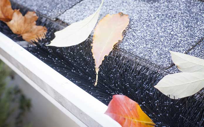 Leaves pile up in a GutterBrush leaf guard inserted in a gutter beside an asphalt shingle roof