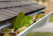 A closeup shot of leaves in a white rain gutter with a dark grey roof