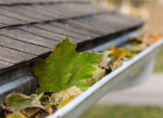 A closeup shot of leaves in a white rain gutter with a dark grey roof
