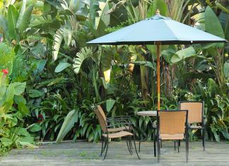 Banana plants surrounding a patio with a table and chairs