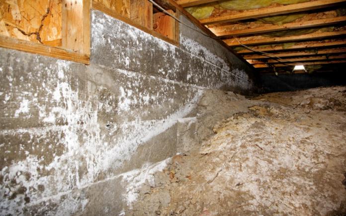 crawl space under home