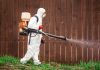 Man in protective garb spraying poison to kill pest by a fence.
