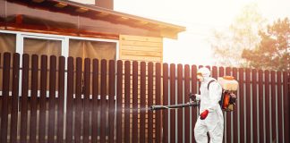 Disinfector in protective suit sprays poison around fence to exterminate mosquitoes, ticks and other pests.