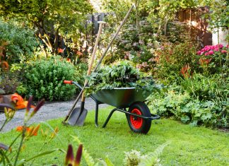 Evening after work in summer garden with wheelbarrow, shovel and rake - horizontal
