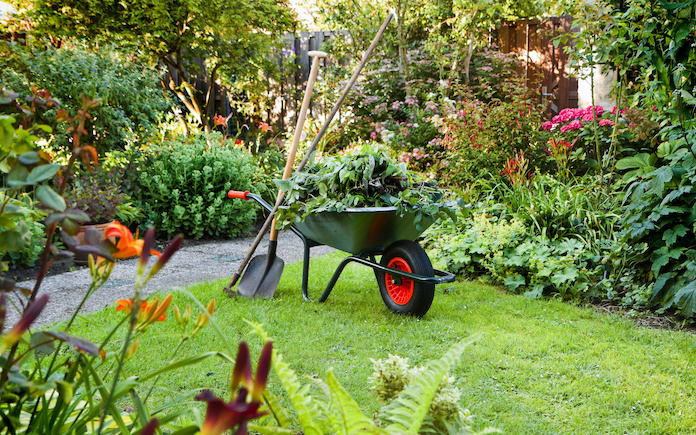 Evening after work in spring home garden with wheelbarrow, shovel and rake - horizontal