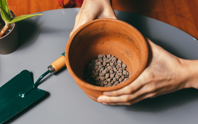 Garden Myth: Gravel in Pots and Containers