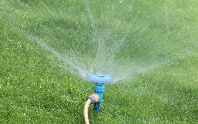 Sprinkler spraying water on a green lawn.