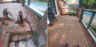 Brick paver patio. Left side shows a close-up view of patio with missing pavers. Right side shows wide shot of brick patio.