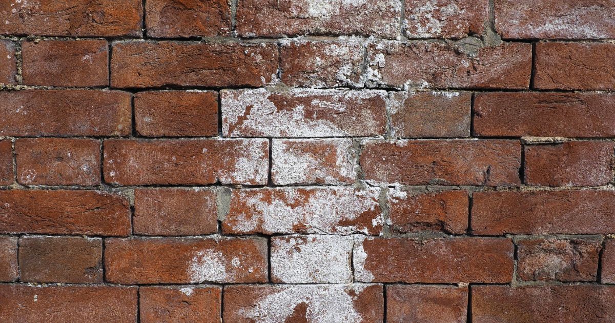 White Brick Mold – CLOTH + WOOD THE SHOPPE