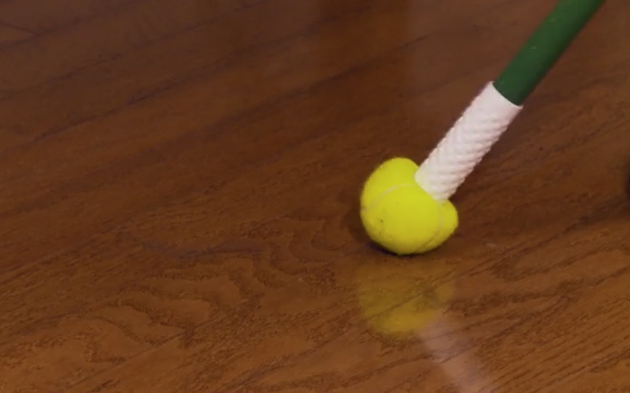 Tennis Ball Scuff Remover