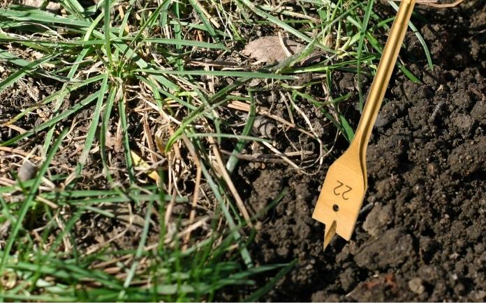 spade bit and grass and dirt
