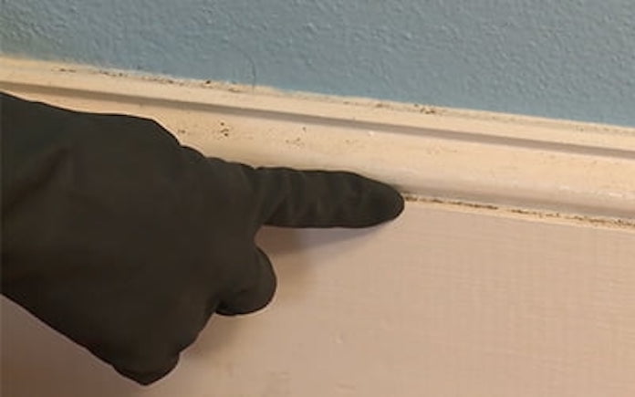 Gloved finger pointing to dirt on baseboard