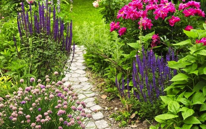 Stone path in a flower garden