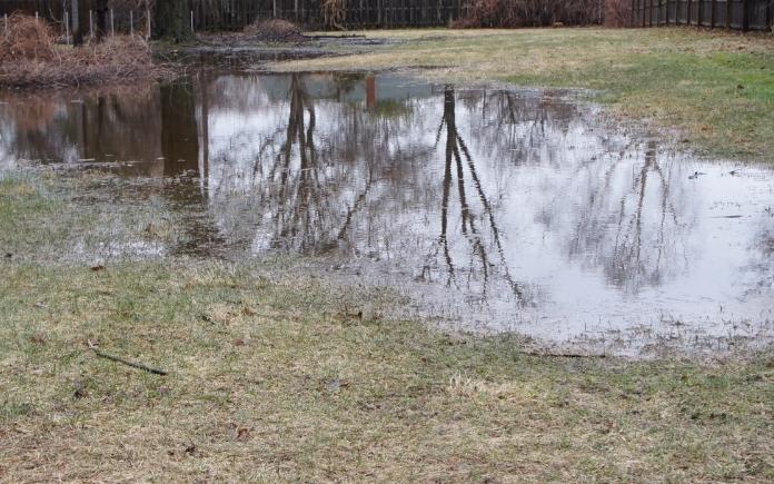Puddles in the yard