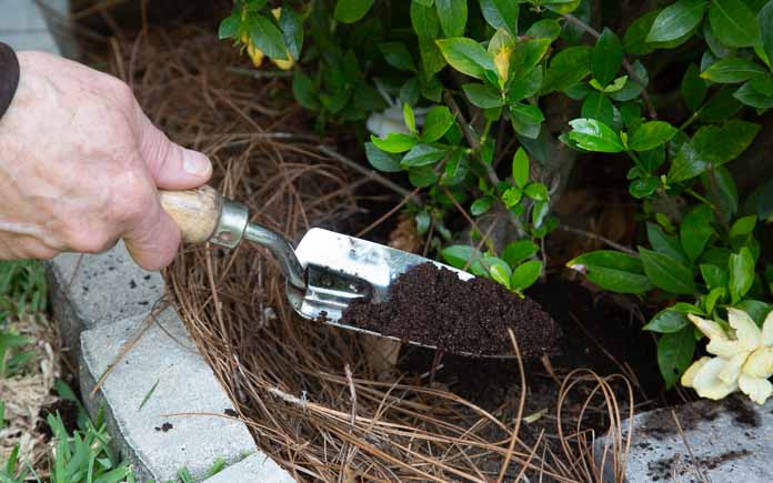 Shovel spreading coffee grounds for plants to use as nutrients