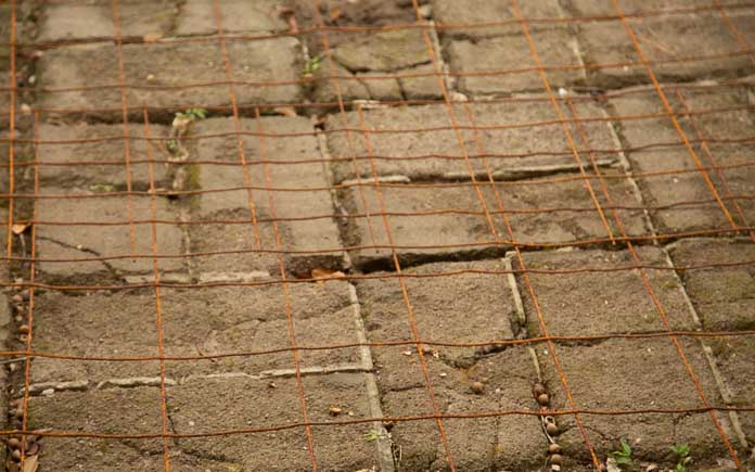 Rusted steel reinforcement wire over aged pavers