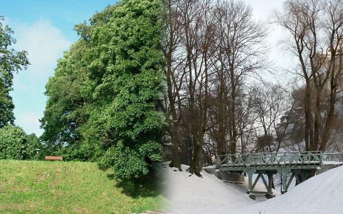 Split image of an outdoor scene showing summer time on the left and winter time on the right