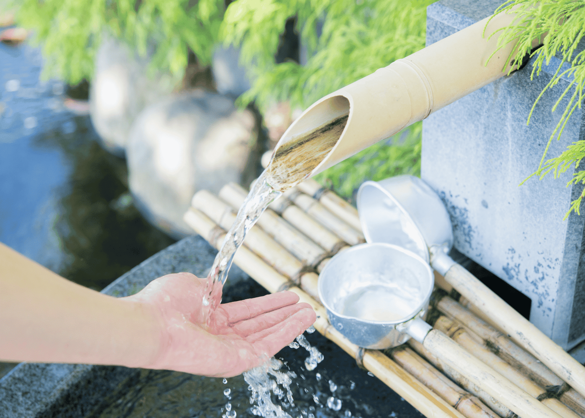 Water Storage Essentials: What To Do Before the Tap Runs Dry - SWAT  Survival, Weapons