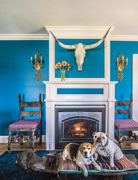 Bubbly and Lulu are at home in the den, where the homeowners installed a gas fireplace. Jenny Blanchard hung a longhorn steer skull above the mantel; artist Georgia O'Keefe has inspired her own work. The chairs flanking the fireplace once belonged to a Congolese chief and his wife. Photo: Carolyn Bates